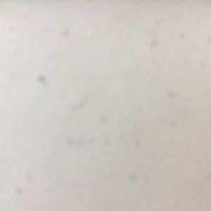 Meet your Posher, Tam